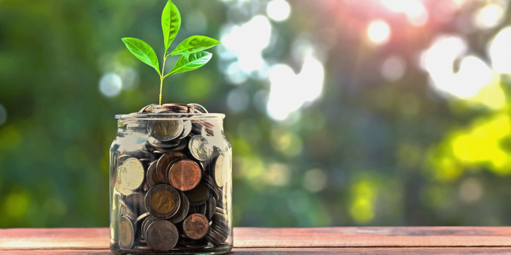 RFS blog - disposable income