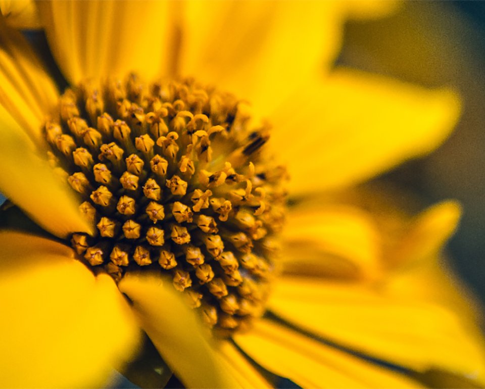 Sustainable investments