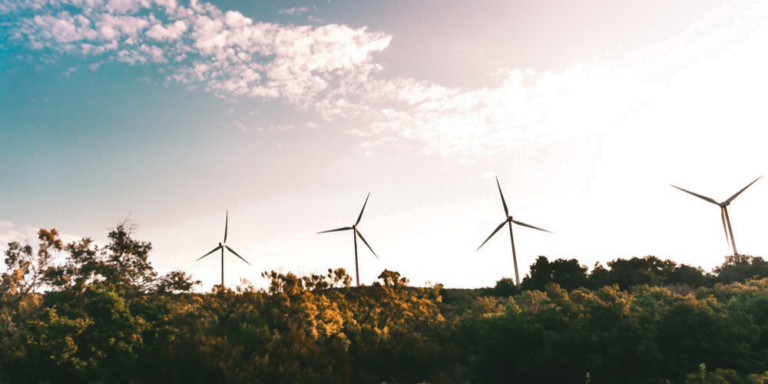 RFS Blog - ESG vs. Impact Investing