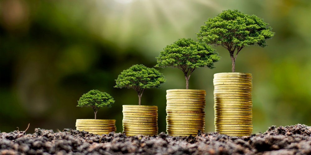 RFS blog - sustainable investment