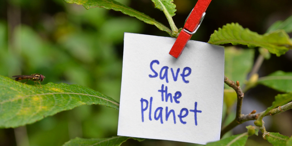 RFS Blog - save the planet