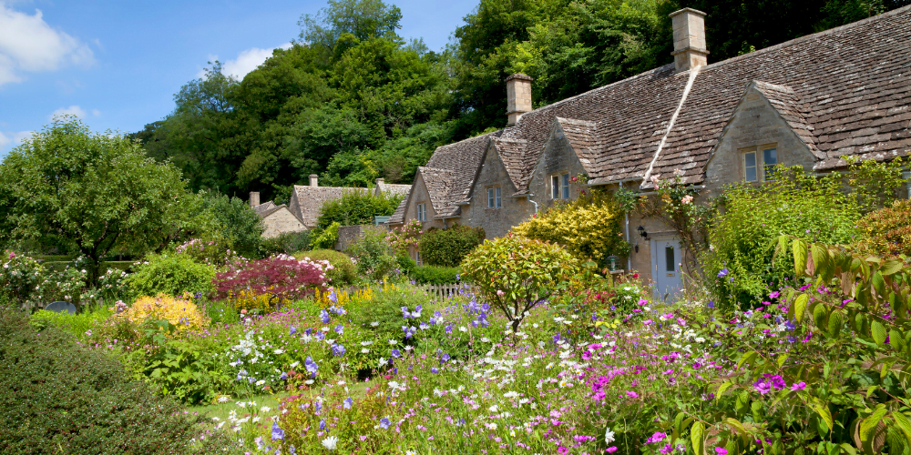 RFS Blog - Sue Dilworth, the garden fairy