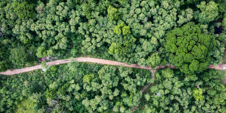 sustainable investing