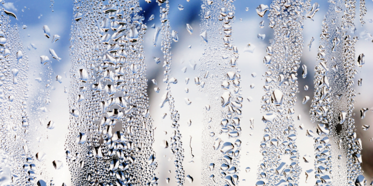 RFS blog - condensation and mould